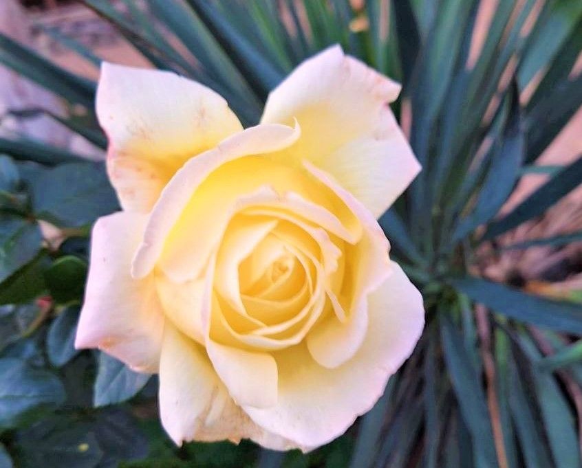 Слава Богу за все.